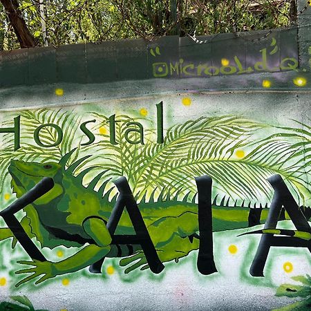 Hostal Kaia Santa Marta  Bagian luar foto