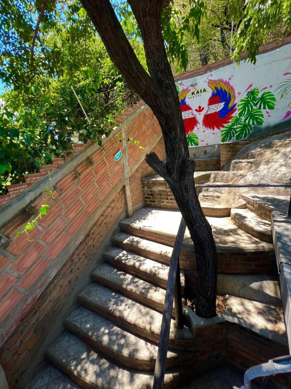 Hostal Kaia Santa Marta  Bagian luar foto