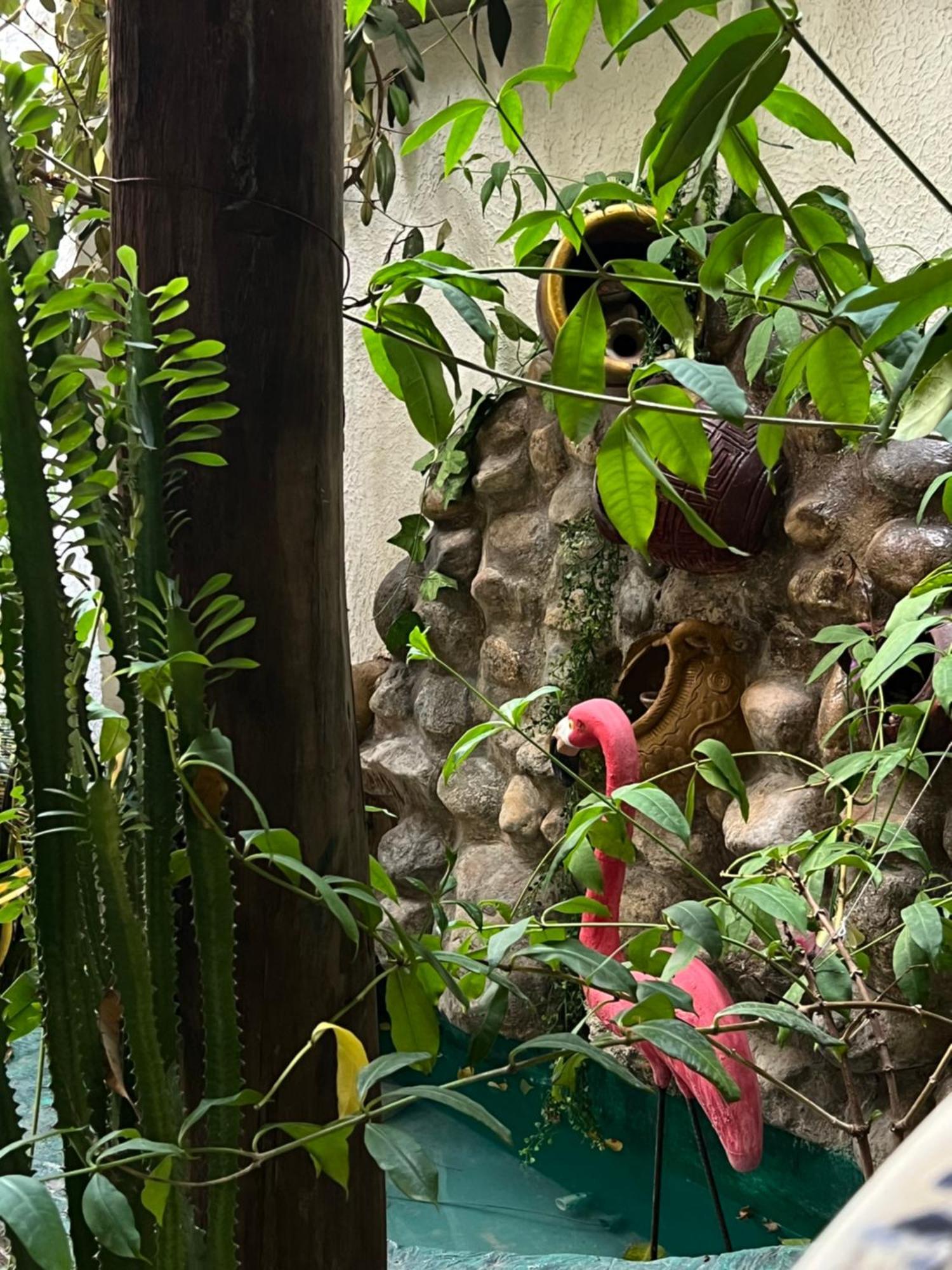 Hostal Kaia Santa Marta  Bagian luar foto